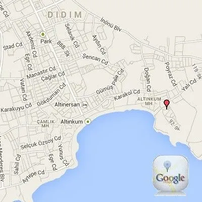 Tuntas Altinkum Didim