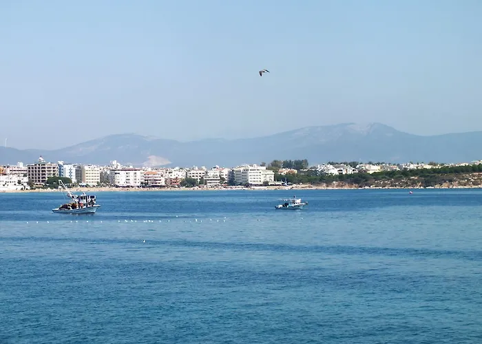 Tuntas Altinkum Didim