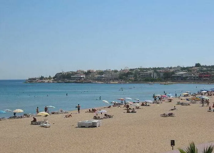 Tuntas Altinkum Didim